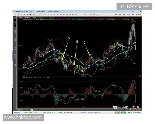 波兰与立陶宛精彩对决图文直播全程回顾与分析